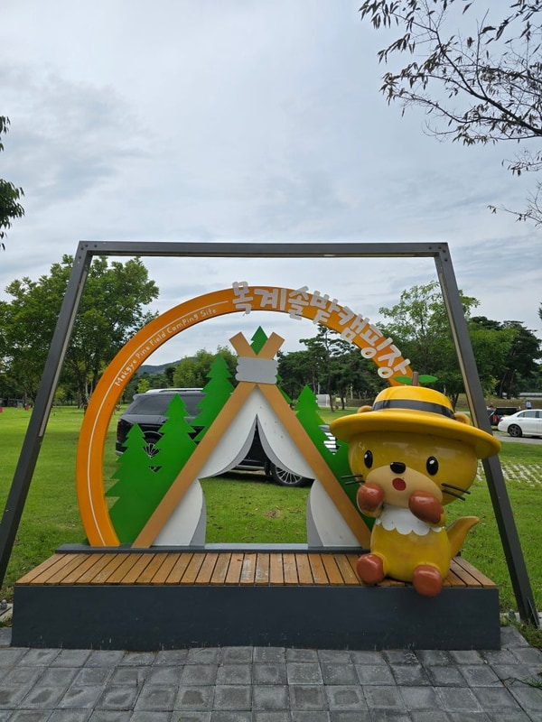 2025 마이캠프 캠핑페스티벌 / 충주 목계솔밭 캠핑장 후기