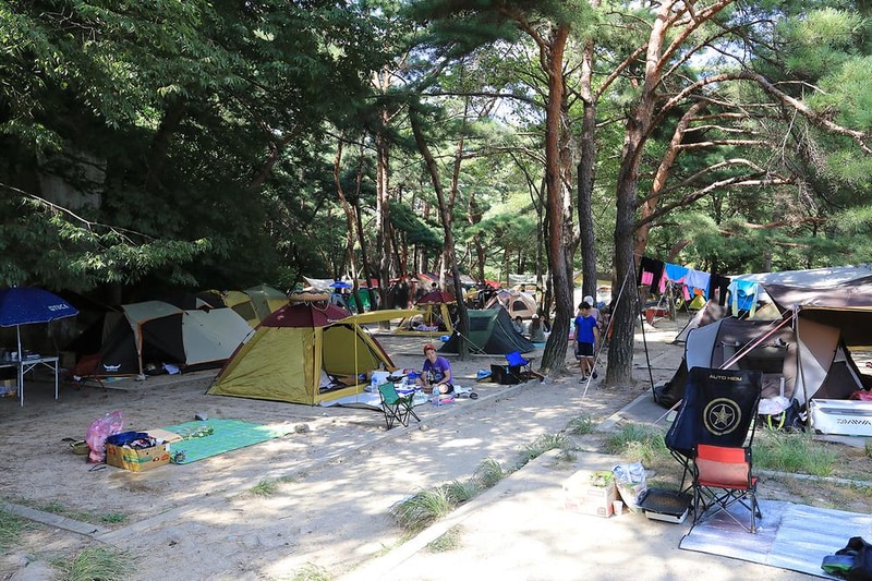 월악산국립공원 덕주야영장 시설 사진 14