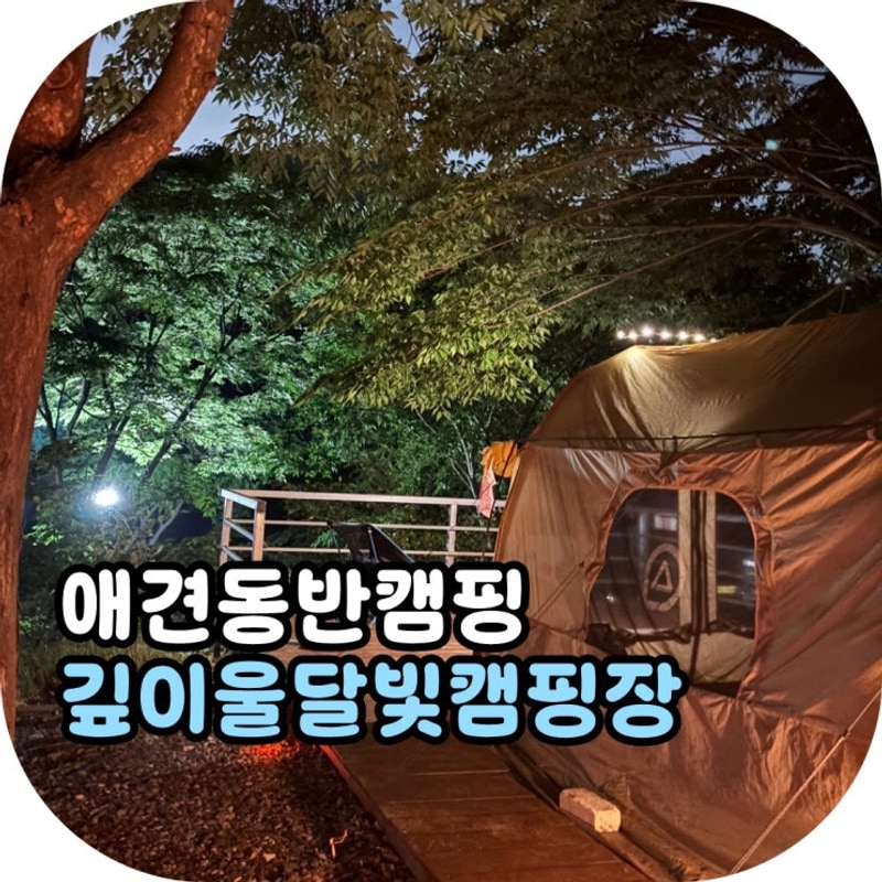 깊이울달빛캠핑장_애견동반 가능 c53사이트