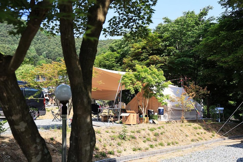 숲에서 놀자 시설 사진 10