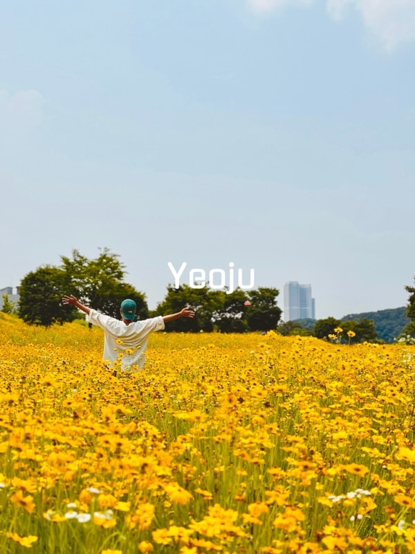 경기도 여주 가볼만한곳 금은모래강변공원 캠핑장 자전거 유원지