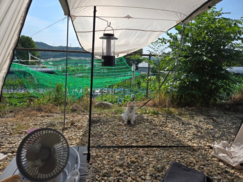 경기 하남 검단산 숲에정원(하남야영장) 캠핑장 파쇄석 19번...