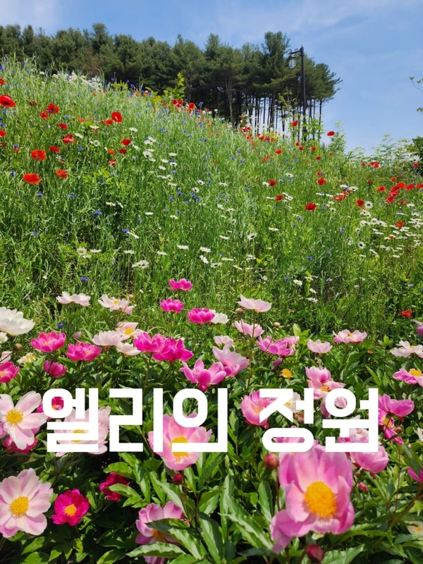 가평 엘리의정원& 힐링 캠프제이엔엘 가평 갈만한 곳