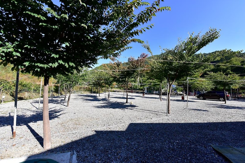 금다래캠핑장 시설 사진 1
