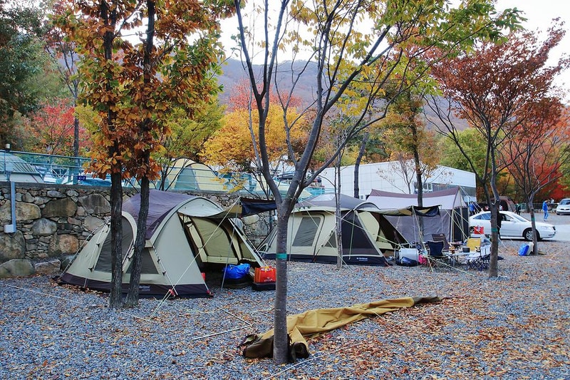 문복산 캠핑장 시설 사진 1