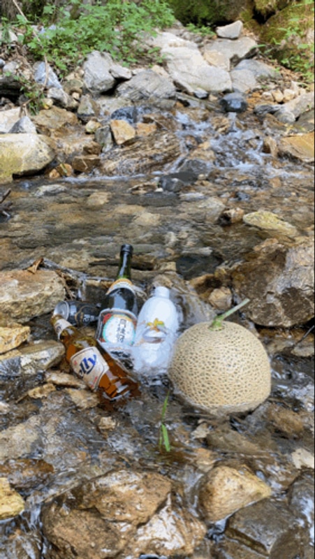 24.7.13-7.14 | 가평 별숲캠핑장 | 와 - 여름이다 ㅣ...