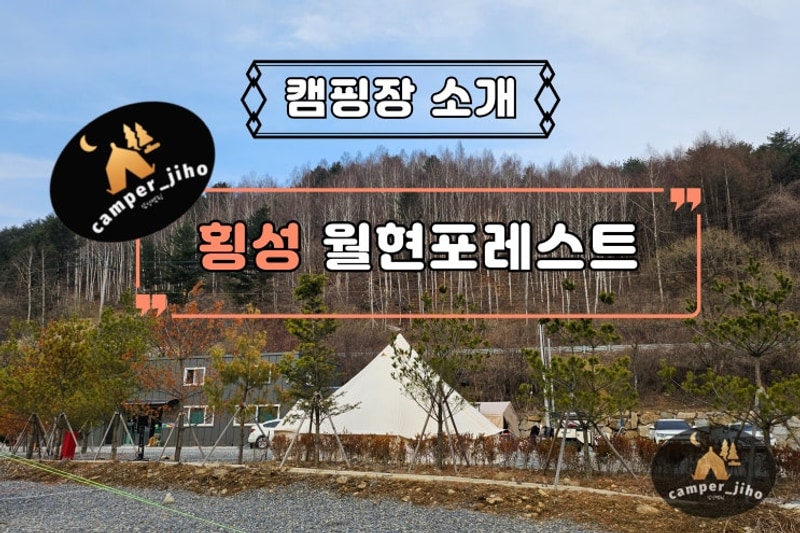 횡성 월현포레스트 별빛 보호 지구에서 만나는 감성 캠핑