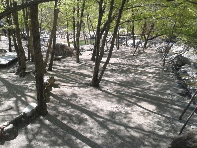 빛 생명 숲 사지목 시설 사진 7