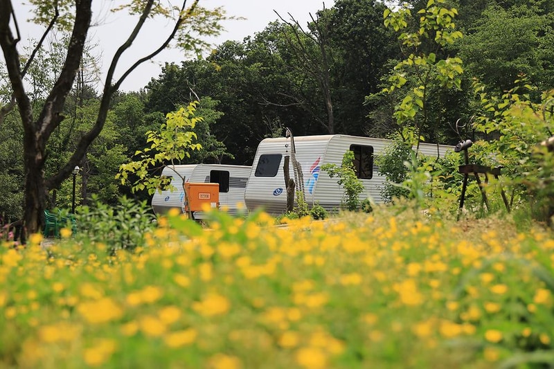 아르보리아파크 캠핑장 시설 사진 5