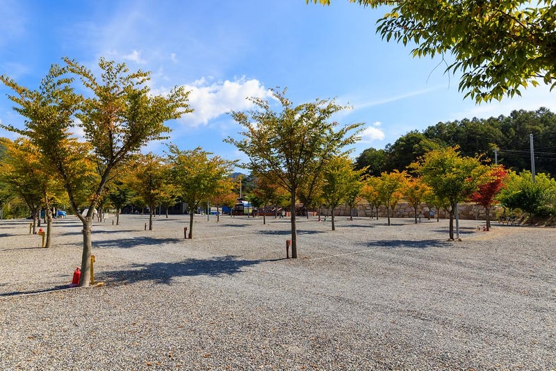 속리산365캠핑장 시설 사진 19