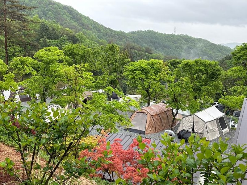 소구니캠핑장 대표 사진