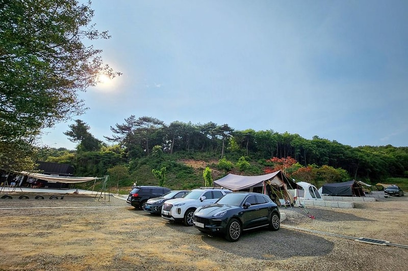 푸르미르 관광농원 시설 사진 7