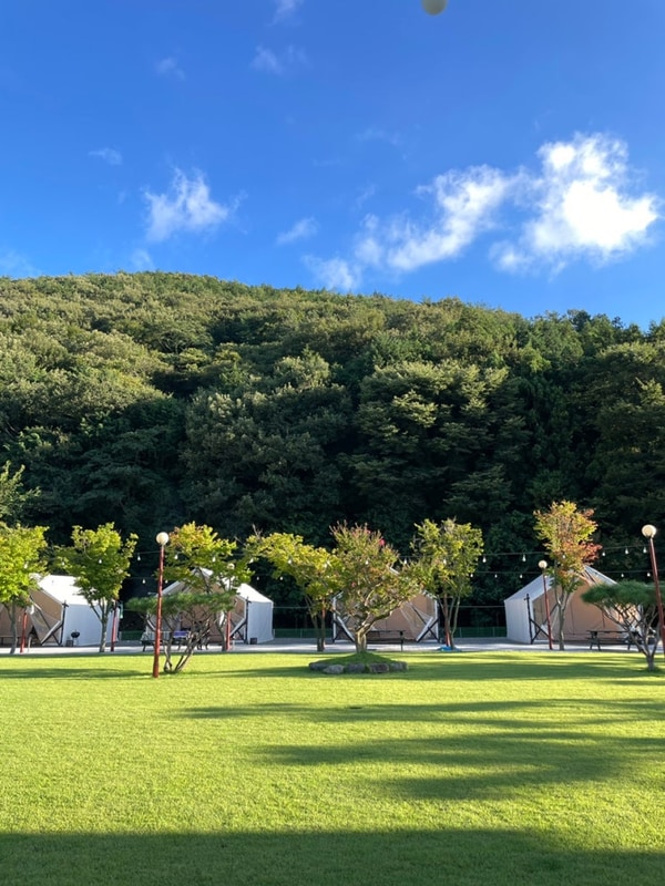 전남 장성 애플글램핑, 광주 근교 아이랑 여행하기 좋은 캠핑장