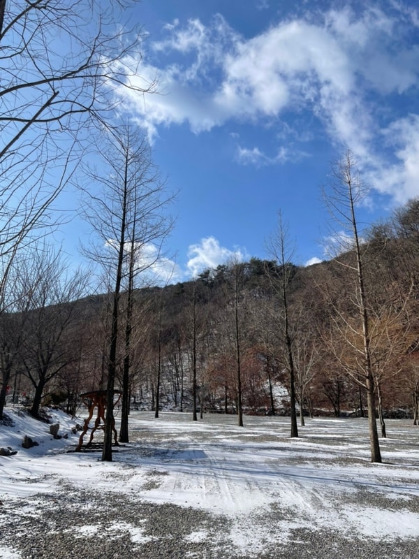 리우캠핑장:: 경북 문경 캠핑장, 반려견 동반 가능, 계곡...