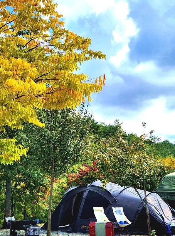 영양수비별빛캠핑장 대표 사진