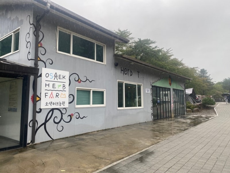 [강원 양양] 계곡이 바로 앞에... ‘오색허브농장캠핑장’...