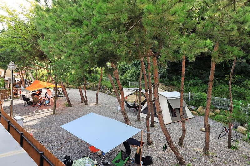 청계산 골든밸리 가족캠핑장 시설 사진 4