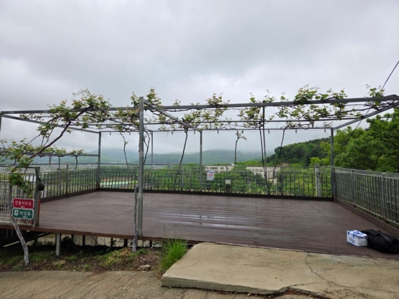 캠핑#37 강화 하랑캠핑장