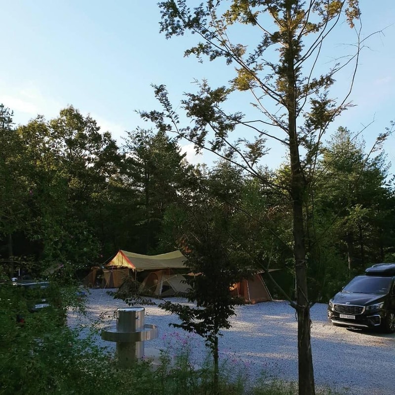 양평 다목적캠핑장 시설 사진 13