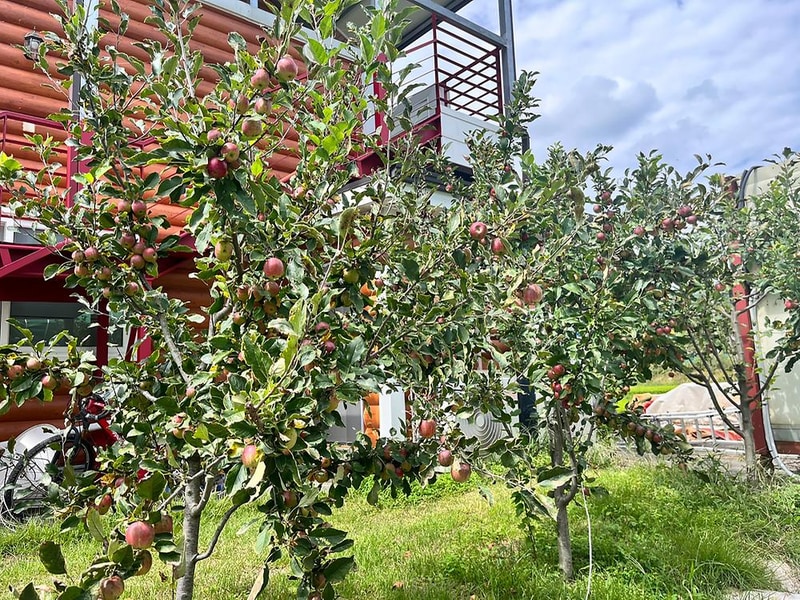 예손캠핑장 시설 사진 9