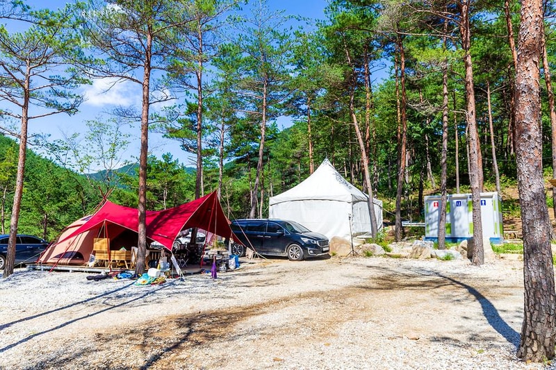 왕피천 숲속 캠핑장 시설 사진 13