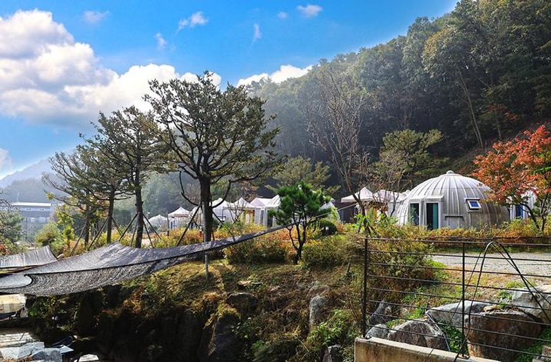 햇골글램핑 대표 사진