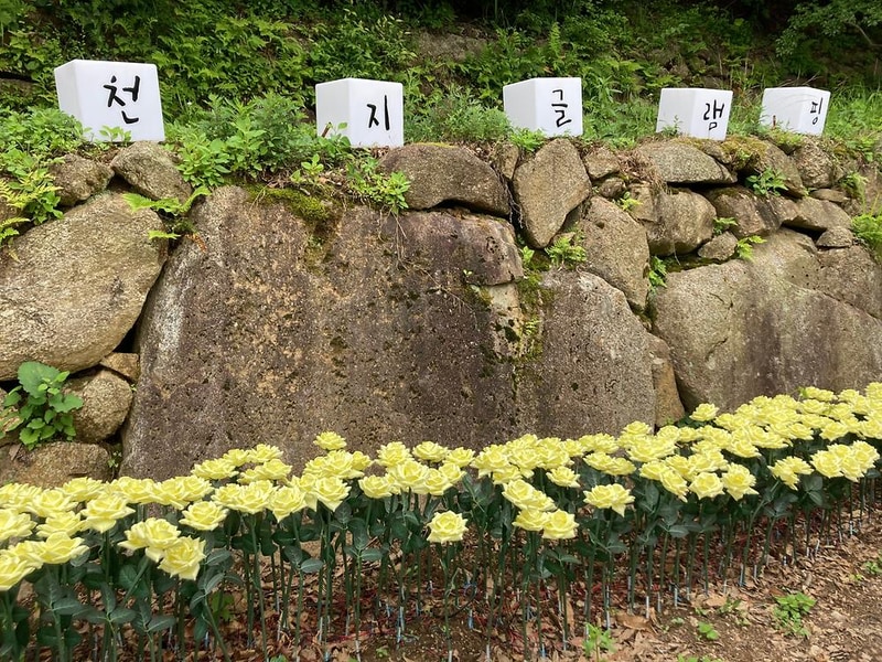 천지 글램핑 시설 사진 46