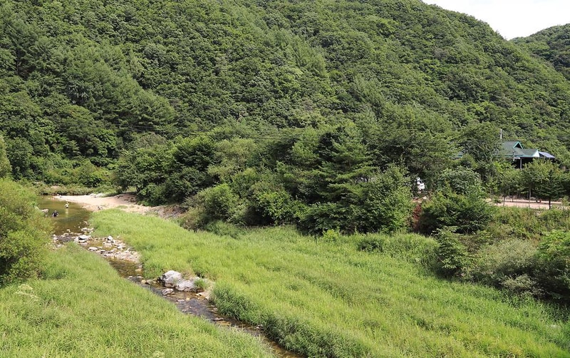 반디하우스캠핑장 시설 사진 1
