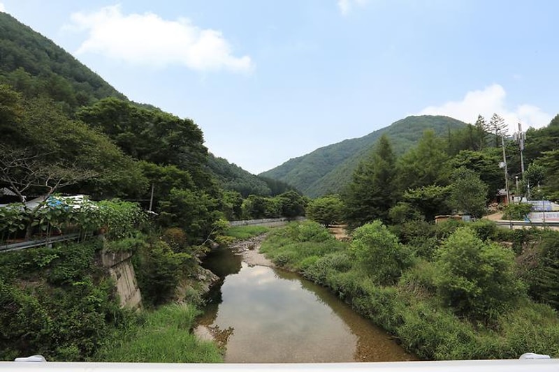 마방캠핑장 대표 사진