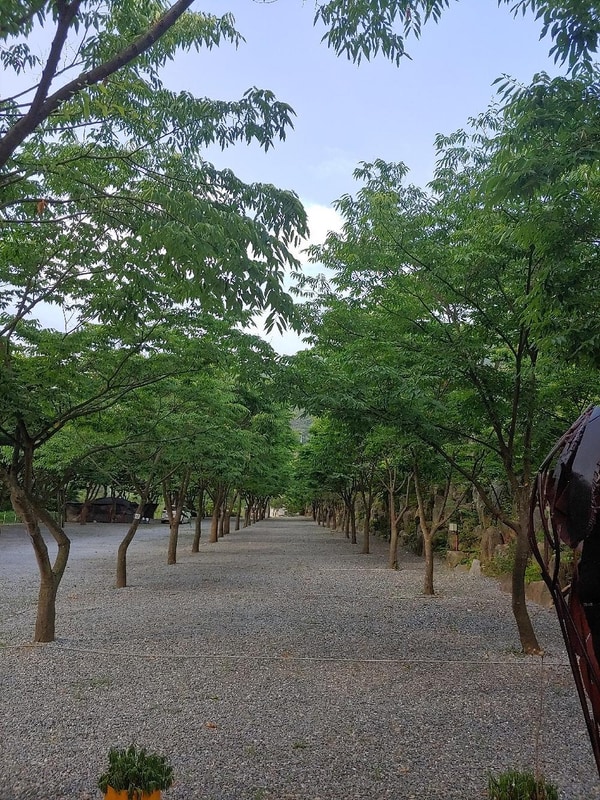 금방아 민박캠핑장 시설 사진 6