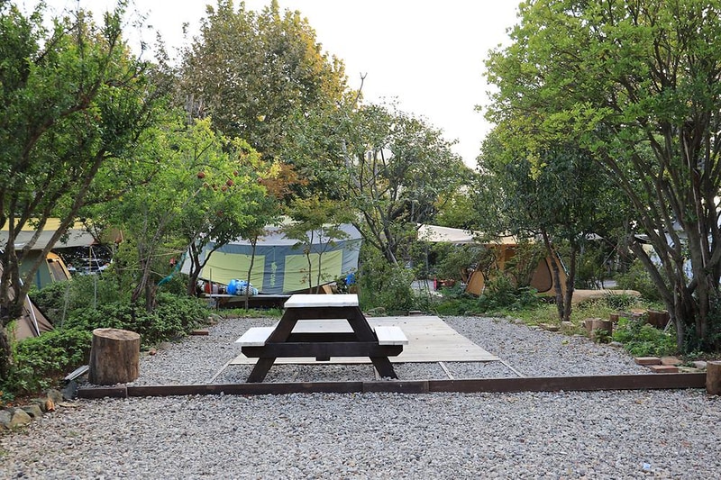 버드하우스 캠핑장 시설 사진 39