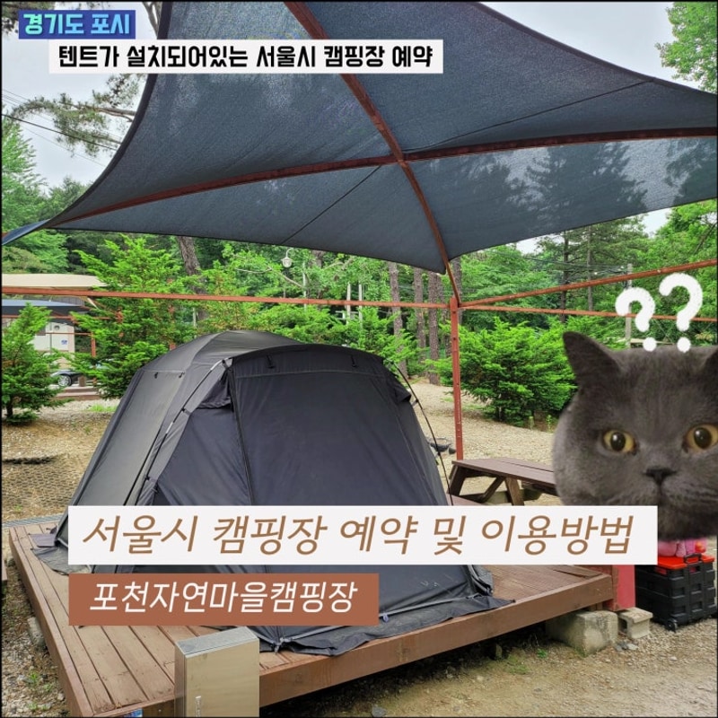 포천 자연마을 서울캠핑장 우선예약 및 이용방법 그리고 접수...