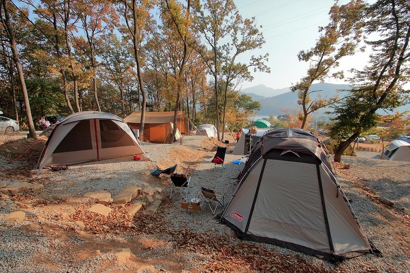 낭만에코파크 시설 사진 6