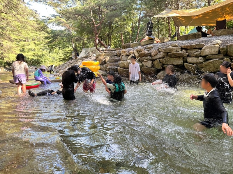 물놀이 하기 좋은 백년계곡 캠핑장 - 영월 소나무와계곡 캠핑장 K2