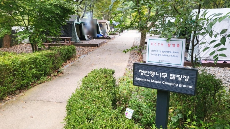 송파에서 20분! 강동그린웨이 가족캠핑장 당일치기 후기