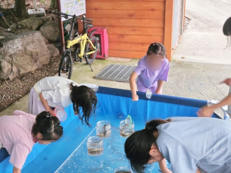 담양 마루한 캠핑장 / 광주 근교 아이들 캠핑장