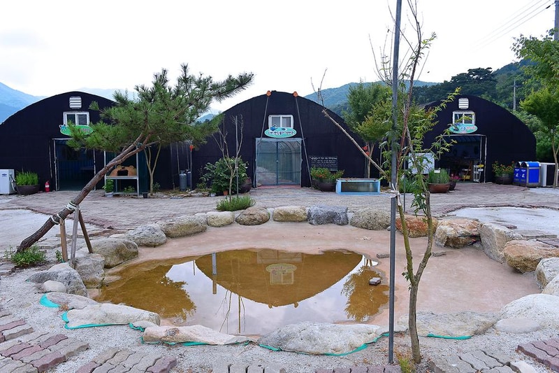 덕유캠프농장 시설 사진 10