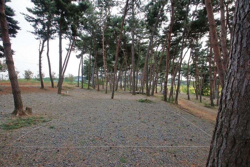 서천 늘푸른캠핑장 시설 사진 6