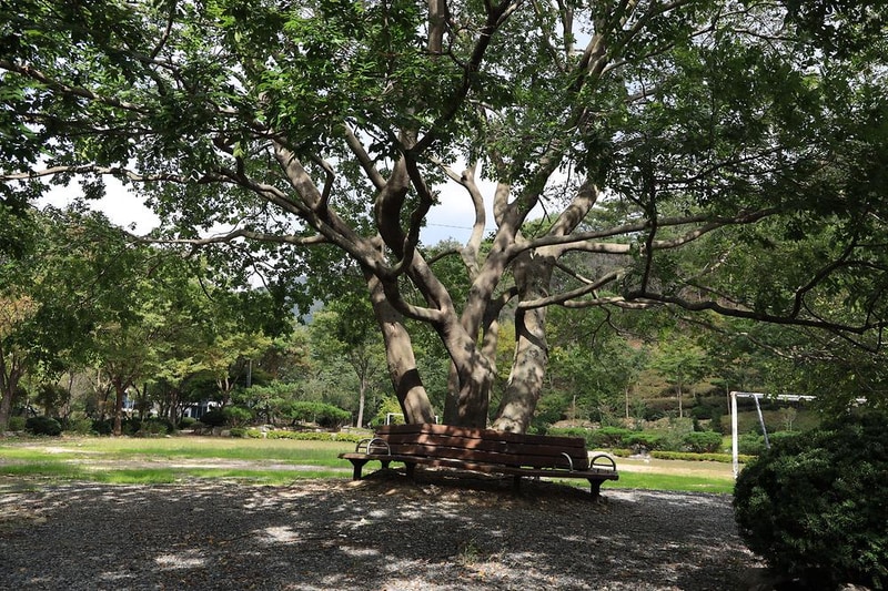 삼계리주말농원캠핑장 시설 사진 4