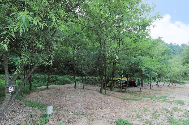 숲속캠핑장 시설 사진 2