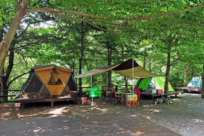 국립천관산자연휴양림 대표 사진