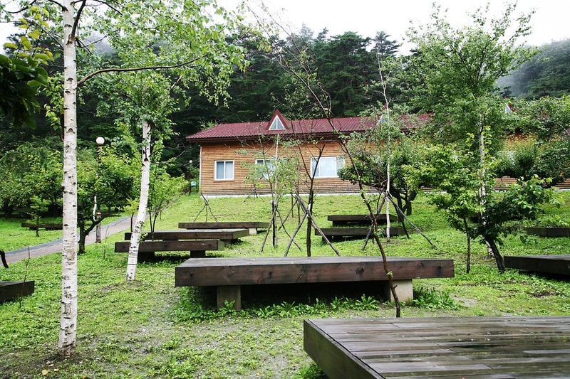 대관령자연휴양림 시설 사진 3