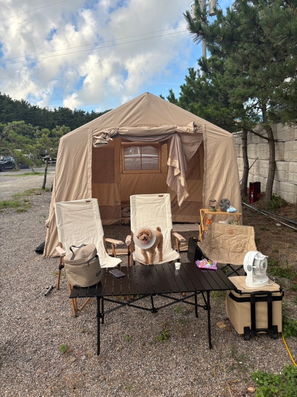 태안 애견동반캠핑장, 태안... 서해땅끝파도리아치내캠핑장...