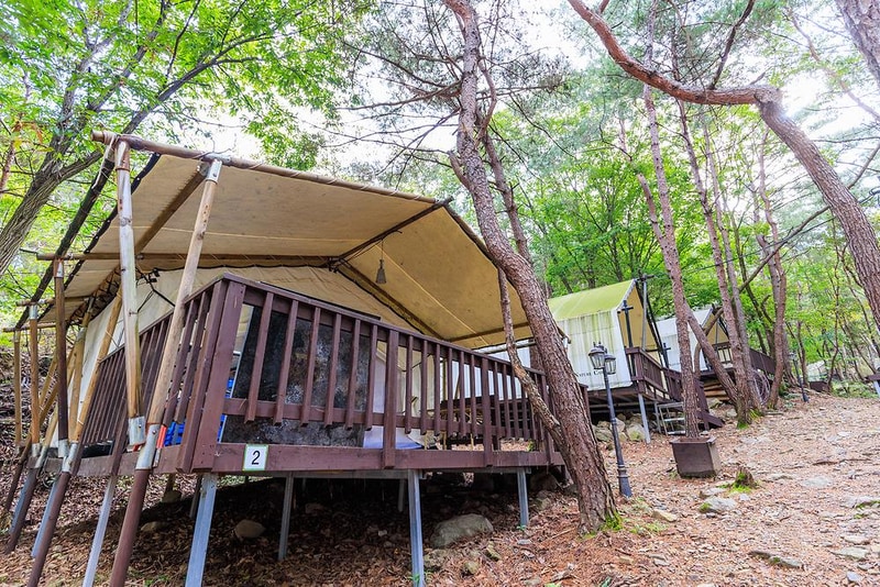 허브하우스 금오산힐링타운 시설 사진 13