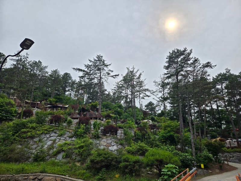 (39th camping)영암군 국민여가캠핑장 B1 솔캠