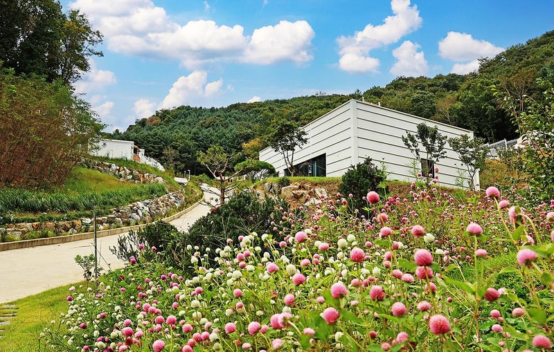 월송리캠프 시설 사진 15