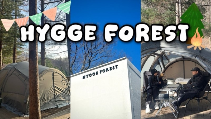 [스물한번째캠핑] 드디어 평창 휘게포레스트 2박3일...