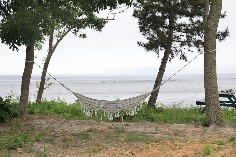 태안머드오토캠핑 시설 사진 4