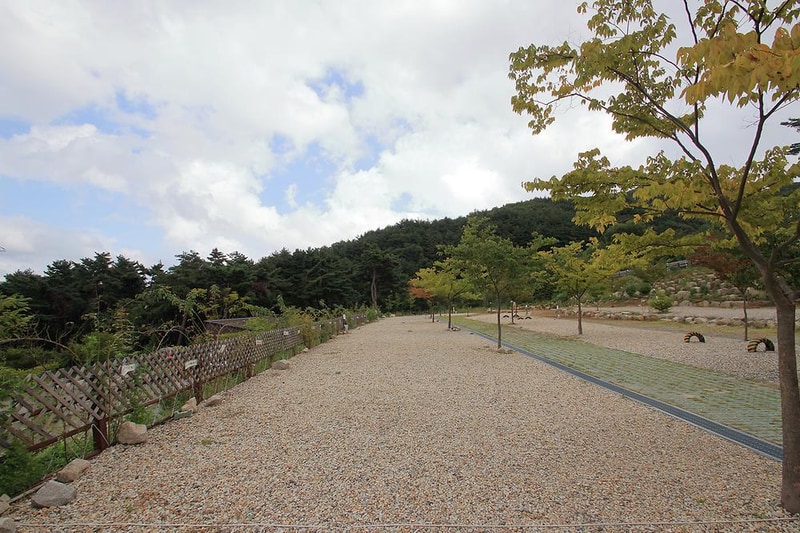 한티별빛아래관광농원 야영장 시설 사진 20