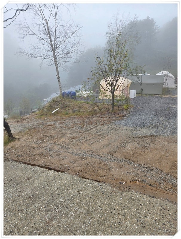 홍천캠핑장 후기, 민생회복소비쿠폰 사용 가능! 알지캠프266